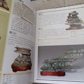 奇石 中国艺术品收藏鉴赏全集：典藏版