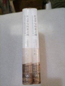 在文学与历史之间：纪念五四运动100周年学术研讨会论文集（上下）