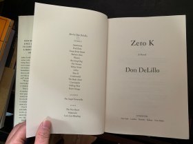 don delillo zero k