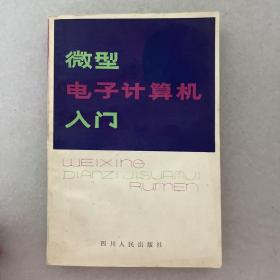 微型电子计算机入门