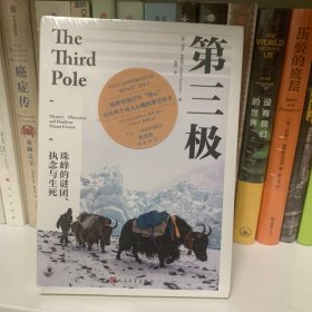 第三极 珠峰的谜团、执念与生死（讲述了扑朔迷离、艰难险阻的珠峰探险之旅。）