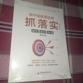 做中层就要这样抓落实：制度、流程、标准落地全案