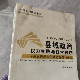 县域政治权力实践与日常秩序：河南省南河市的体验观察与阐释