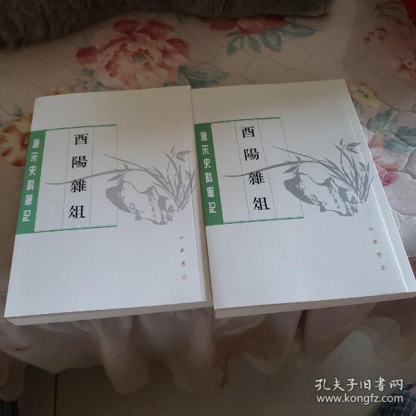 酉阳杂俎（唐宋史料笔记丛刊·全2册）