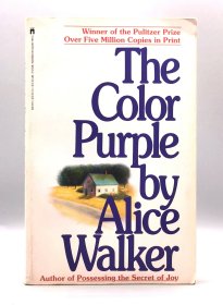 1983年版 艾丽斯·沃克《紫色》 The Color Purple by Alice Walker (美国黑人文学) 英文原版书