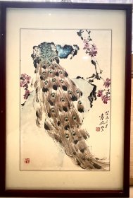 袁晓岑