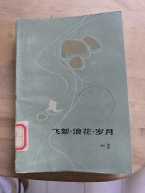 飞絮·浪花·岁月（小32开）