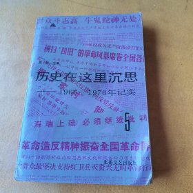 历史在这里沉思：（5）1966-1976年记实