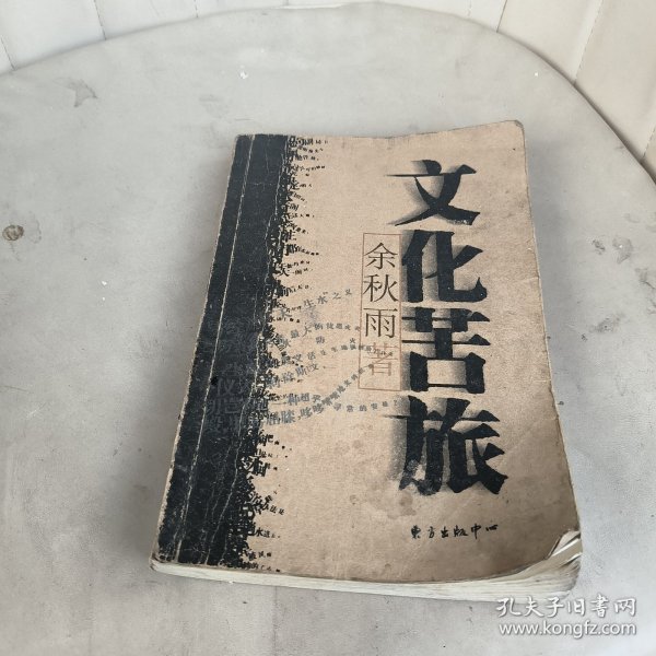 文化苦旅