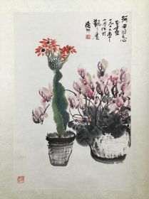 版画家陈珂田旧藏《陈秋草 1979年绘 瓶花图》上海美术馆馆长 真迹保真