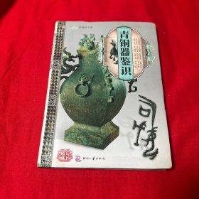 天下收藏：青铜器鉴识