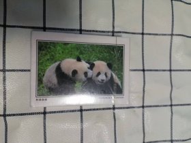 中国大熊猫礼品扑克