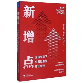 新增点：全球变局下中国经济的增长路径