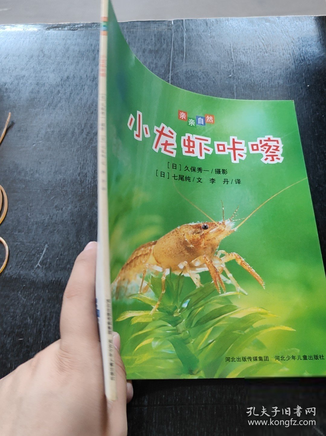 亲亲自然：小龙虾咔嚓[日]久保秀一/摄影；[日]七尾纯 /文9787537660907