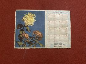 1960年日历：菊花 32开