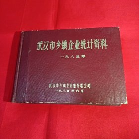 1983年《武汉市乡镇企业统计资料》（各区社队企业非常详实）