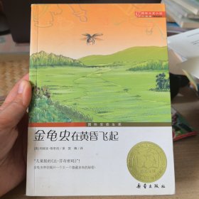 国际大奖小说（升级版）：金龟虫在黄昏飞起