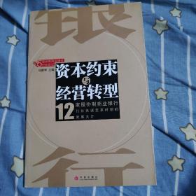 资本约束与经营转型(12家股份制商业银行)