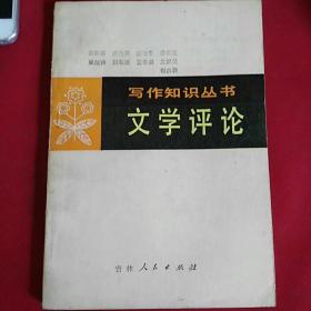 文学评论  （写作知识丛书）