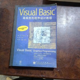 VISUAL BASIC 高级图形程序设计教程