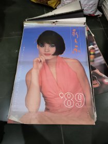 1989年 新春乐美女挂历 （祝琲、单小燕、张小敏、周洁等） 全12张