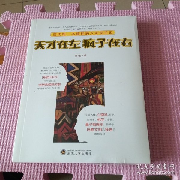 天才在左 疯子在右：国内第一本精神病人访谈手记