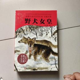 野犬女皇：动物小说大王沈石溪.品藏书系