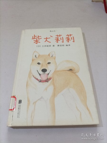 柴犬莉莉