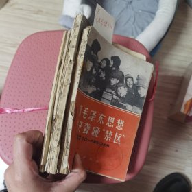 毛主席语录，红色书信，要害是复辟资本主义，执行毛主席革命路线的带头人，中国工人阶级的先锋战士铁人王进喜，纪念白求恩，论林反党集团的社会基础，高玉宝，鸡毛信，靠毛泽东思想打开聋哑禁区十本合售