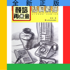 颜培再点金(结构素描)/艺考美术教学精解临摹系列丛书