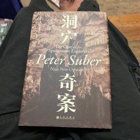洞穴奇案 法哲学专业领域寓言式的经典文献，优秀跨学科通识教育的理想读本