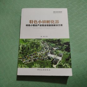 特色小镇孵化器：特色小镇全产业链全程服务解决方案