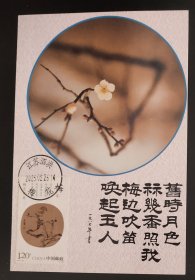 梅花极限片(贴有2010－25(4－1)，销有2025.2.26.江苏泗洪梅花戳).