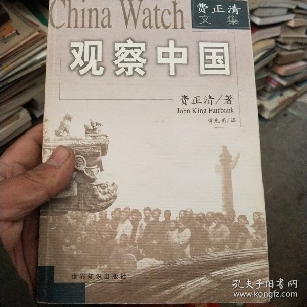 观察中国