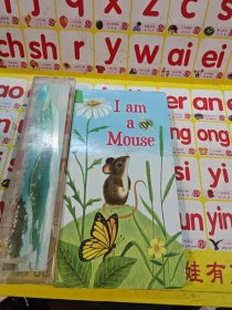 I Am a Mouse 我是一只鼠仔【精装英文绘本】