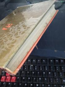 临床肝胆系病学