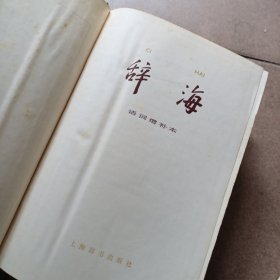 辞海语词分册：音序本