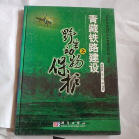 青藏铁路建设之野生保护动物