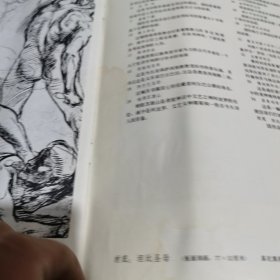 拉斐尔