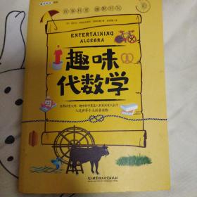 趣味代数学:趣味科学系列（深受全世界青少年喜爱。人大附中、清华附中、北大附中等名校教师推荐）