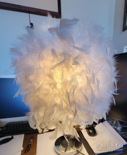 羽毛台灯，现代简约