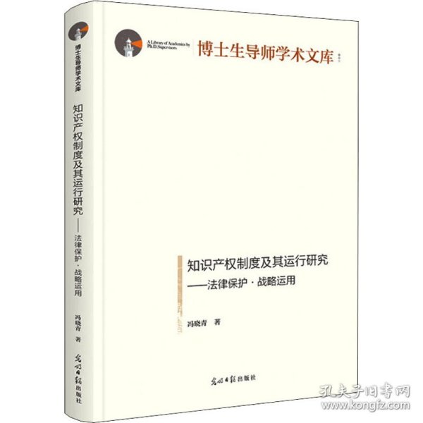 知识产权制度及其运行研究：法律保护·战略运用