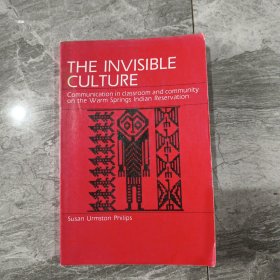 The Invisible Culture