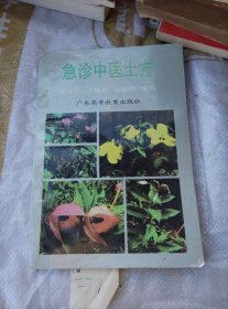 急诊中医土方