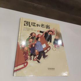 启发精选：凯琪的包裹