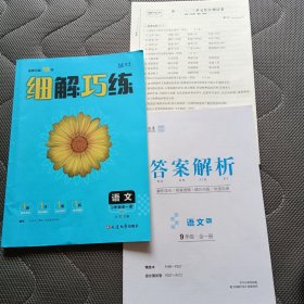 细解巧练:语文9年级全一册 (RJ)