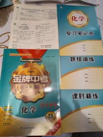 2025金牌中考总复习 化学（广东专用）【含配套如图】
