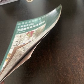 高等美术院校基础教学教法，广州美院方楚雄花鸟写生教学