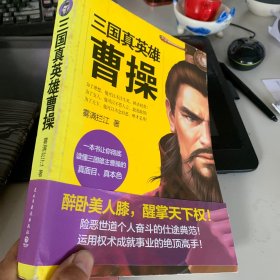 三国真英雄曹操