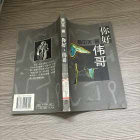 你好，伟哥